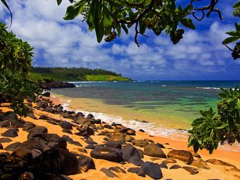 Beach Shade Hawaii screenshot