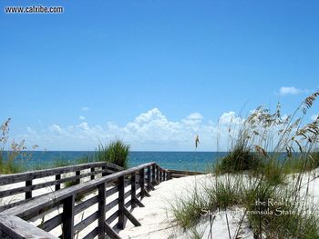 Beachboard Walk Peter Marko screenshot