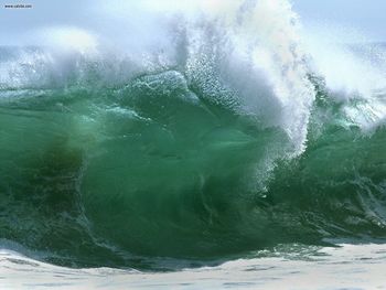 Beaches Newport Beach California screenshot