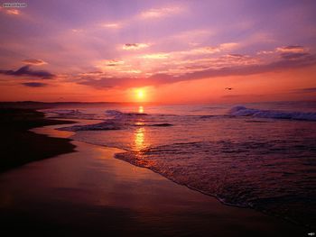 Beaches Newport Beach Sunrise California screenshot