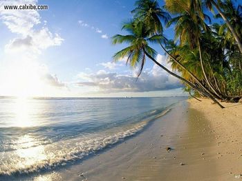 Beaches Pigeon Point Tobago screenshot