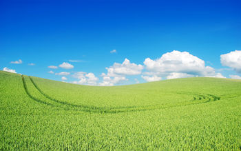 Beautiful Green Landscape screenshot