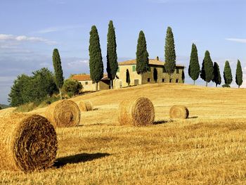 Beautiful Tuscany Italy screenshot