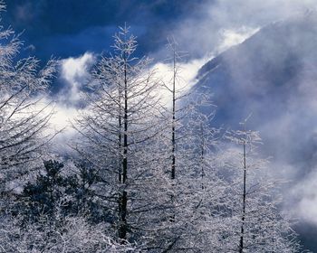 Beautiful Winter Landscapes screenshot