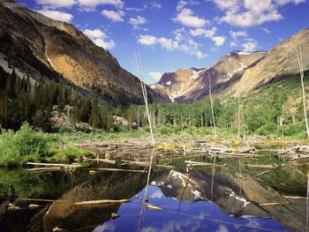 Beaver Pond Lundy Canyon Sierra Nevada Range California screenshot