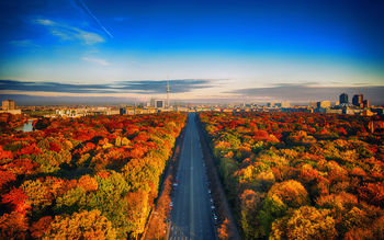 Berlin Autumn 5K screenshot