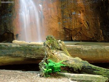 Berry Creek Falls Big Basin Redwoods State Park California screenshot