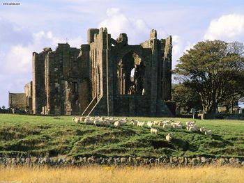 Berwick-upon-Tweed, Northumberland, England screenshot