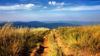 Bieszczady screenshot