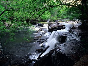 Big Falls Old Stone Fort Archological Park Manchester Tennessee screenshot