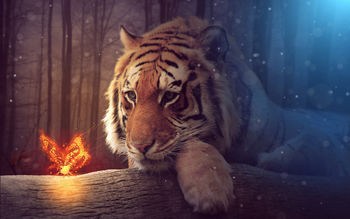 Big Tiger screenshot