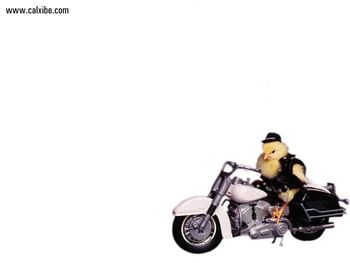 Biker Chick screenshot