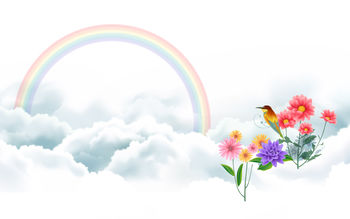 Bird and Rainbow screenshot