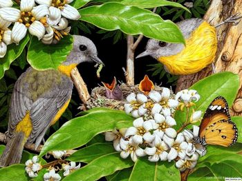 Bird Pair screenshot