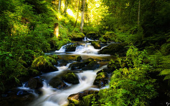 Black Forest in Germany screenshot