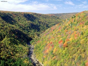 Blackwater River From Pendleton Overlook West Virginia screenshot