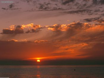 Bloodorange Sunset Over The Pacific Ocean California screenshot