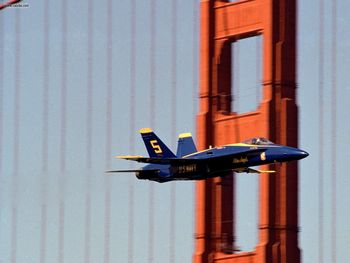 Blue Angel And The Golden Gate San Francisco California screenshot