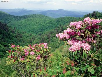 Blue Ridge Parkway North Carolina screenshot