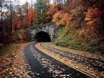 Blue Ridge Parkway Pisgah National Forest North Carolina screenshot