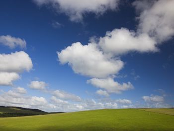 Blue Skies and Green Pastures screenshot