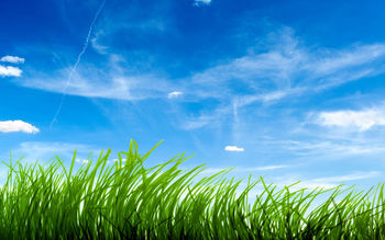 Blue Sky Green Grass screenshot