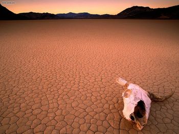 Bone Dry Death Valley California screenshot