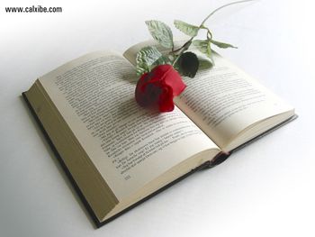 Book And Rose screenshot