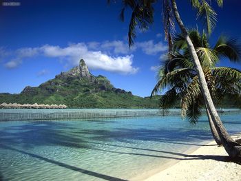 Bora Bora Shoreline French Polynesia screenshot