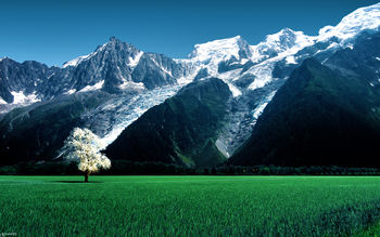Bossons Glacier Alps Snow Mountains screenshot