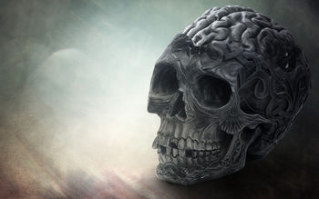 Brain Skull screenshot