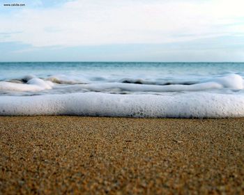 Brazomarbeach screenshot