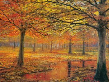 Breathtaking Views - Autumn Day By Peter Ellenshaw screenshot