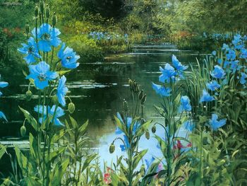 Breathtaking Views - Blue Poppies By Peter Ellenshaw screenshot