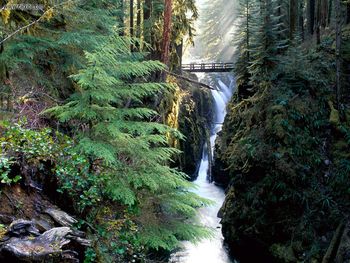 Bridge Over Sol Duc Falls Olympic National Park Washington screenshot