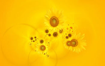 Bright Yellow Sunflowers screenshot