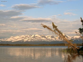 Browns Lake Alaska screenshot