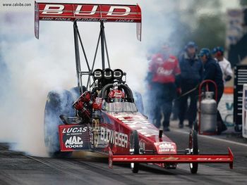 Budweiser Top Fuel Dragster screenshot