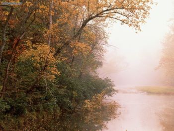 Buffalo National River Arkansas screenshot