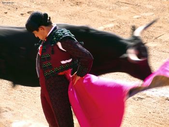 Bull Fighter screenshot