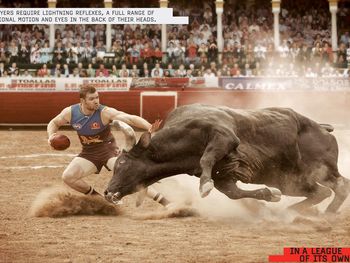 Bullfight screenshot