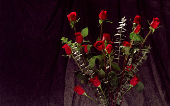 Bunch of Red Roses screenshot