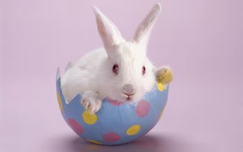 Bunny On Egg For Easter screenshot