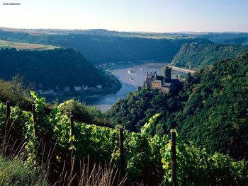 Burg Katz Above The Rhine Germany screenshot