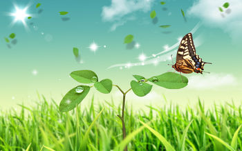 Butterfly World screenshot