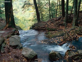 Buttermilk Falls Delaware Water Gap National Recreation Area New Jersey screenshot