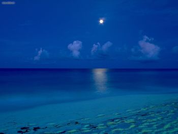 By The Light Of The Moon Cancun Mexico screenshot