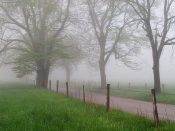 Cades Cove In Early Spring Great Smoky Mountains Tennessee screenshot