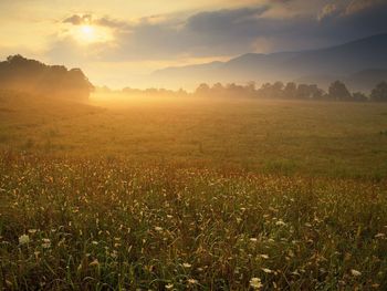 Cades Cove Sunrise, Great Smoky Mountains National Park, Tennessee screenshot