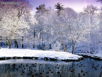 Canada Ontario Toronto Winterscene screenshot